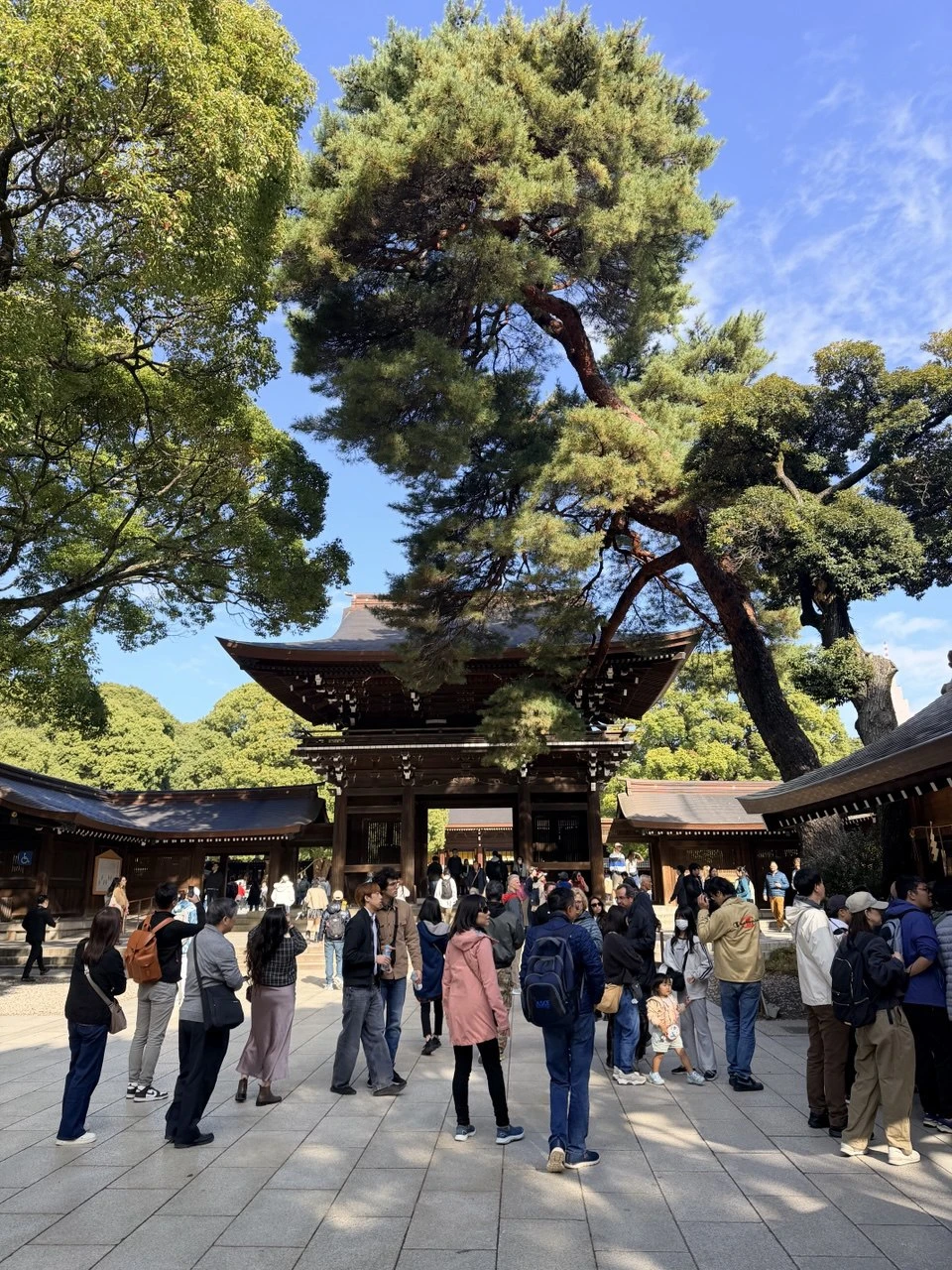 Фото путешественника — 2