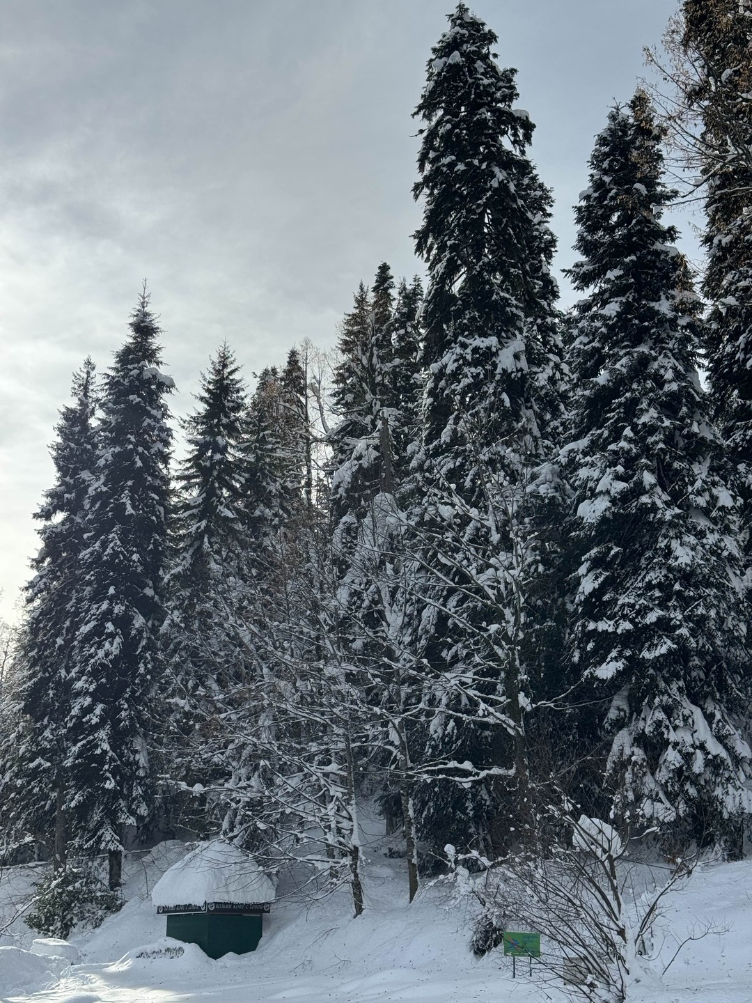 Фото путешественника — 6