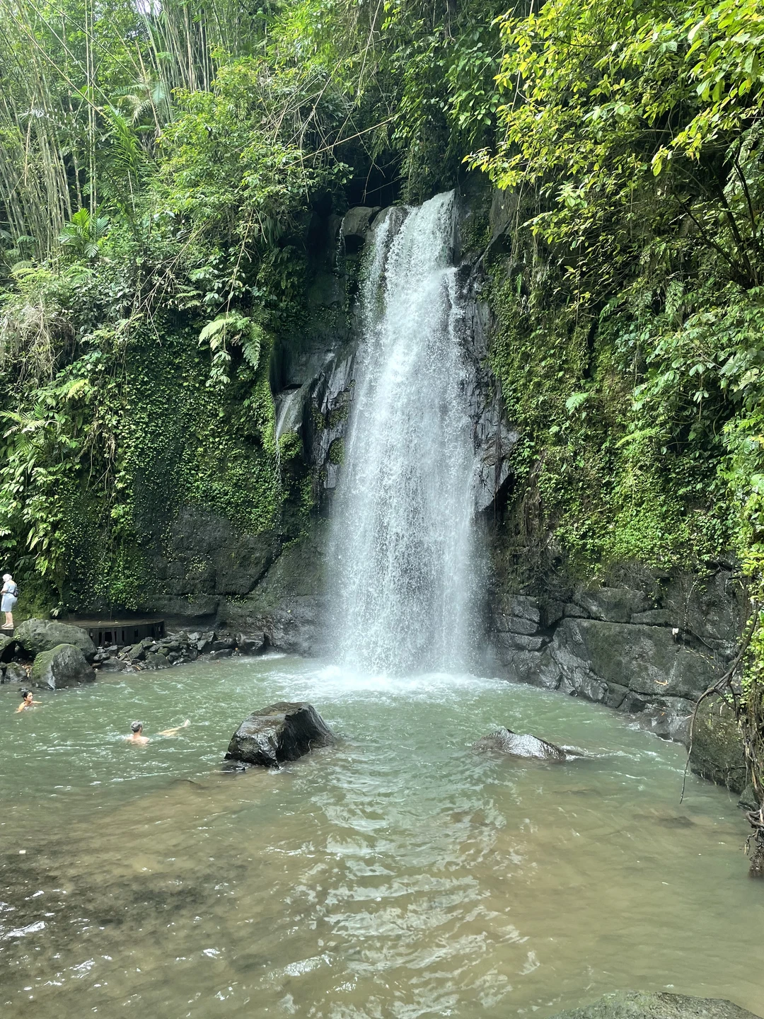 Отзыв о экскурсии "Все краски Бали" — фото 8