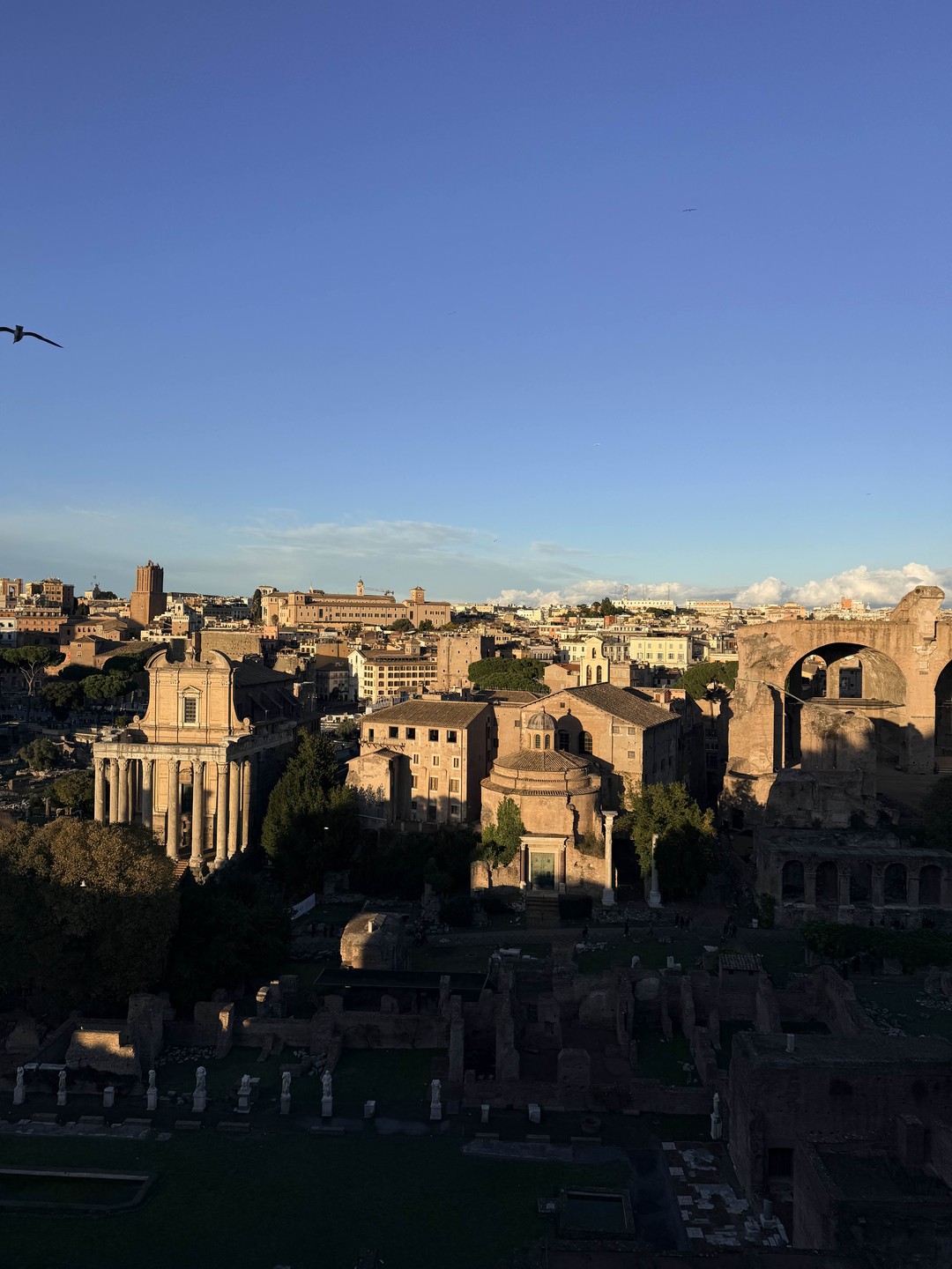 Отзыв о экскурсии "Античное сердце Рима: Колизей, холм Палатин, Форум" — фото 3