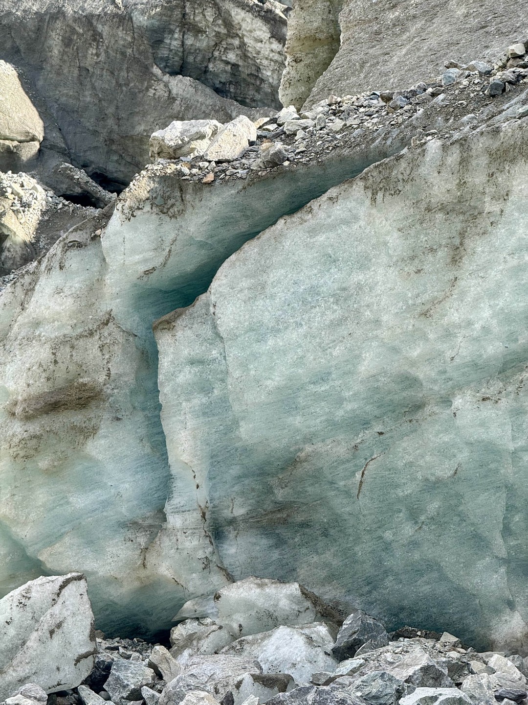 Отзыв о экскурсии "Треккинг к Цейскому леднику" — фото 5