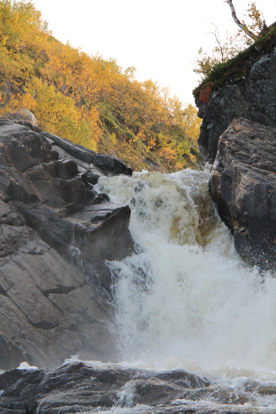 Отзыв о экскурсии "Заповедная территория: к океану на гигантской машине с проживанием в кемпинге" — фото 7