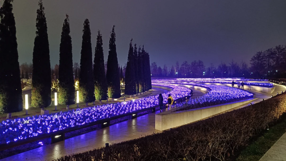 Отзыв о экскурсии "Парк Галицкого: где ты паришь, даже не взлетая" — фото 3