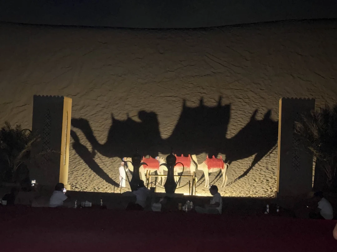 Отзыв о экскурсии "Сафари на джипах в Абу-Даби: песчаные дюны и арабский вечер" — фото 3