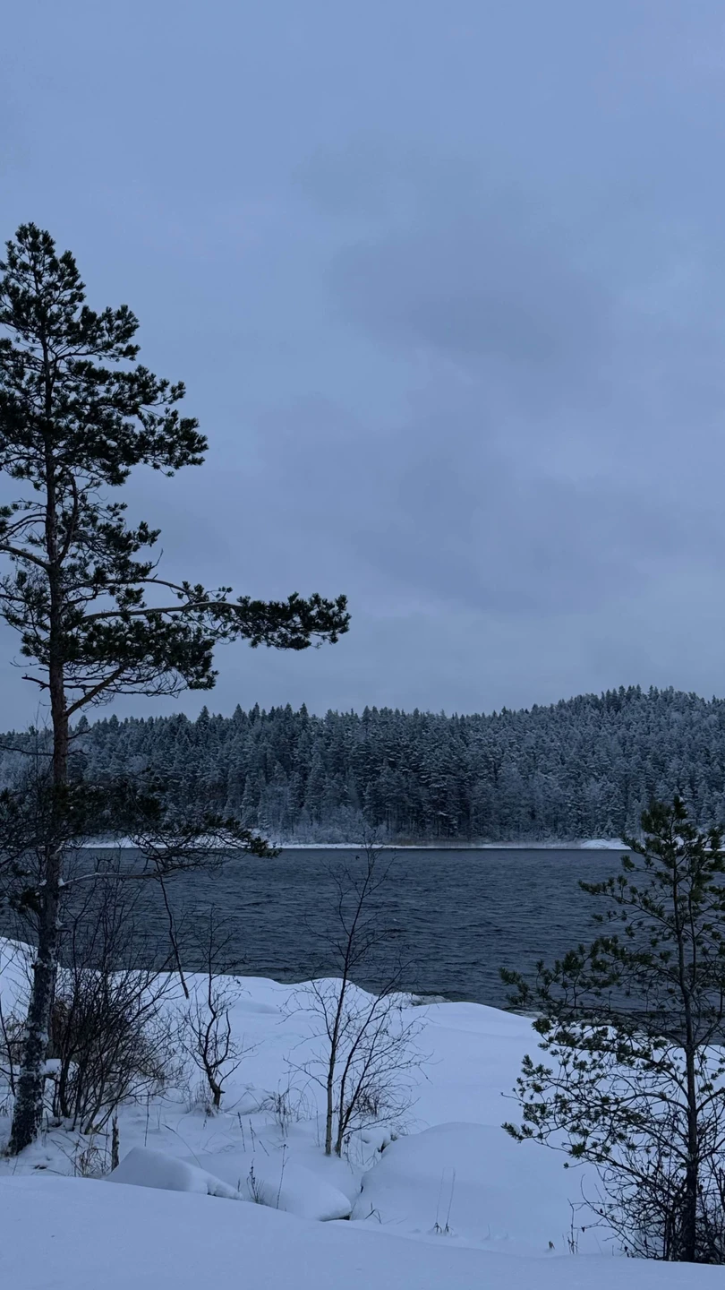 Отзыв о экскурсии "По Ладожскому озеру — на аэролодке своей компанией!" — фото 3