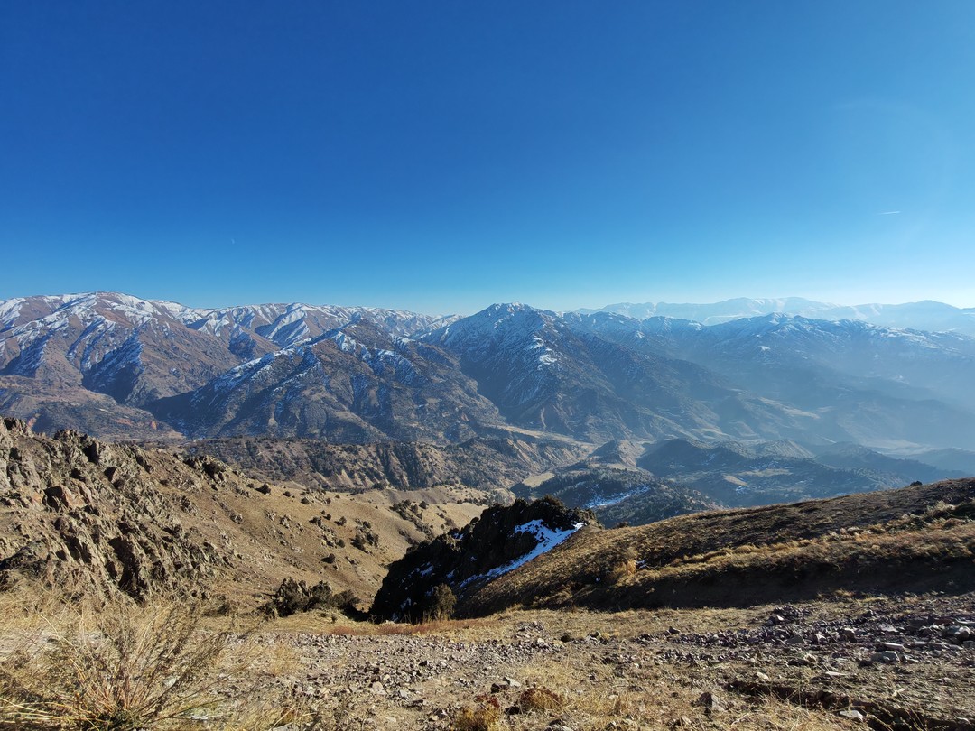 Отзыв о экскурсии "Из Ташкента — к величественным Чимганским горам!" — фото 4