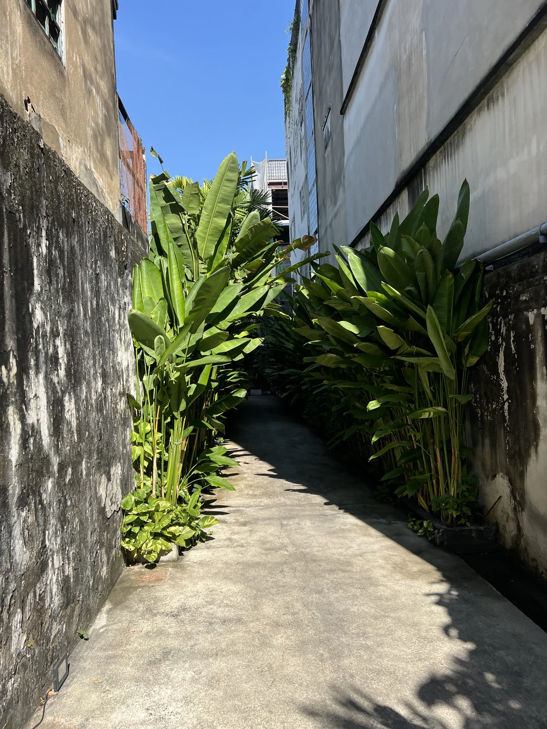 Фото путешественника — 2