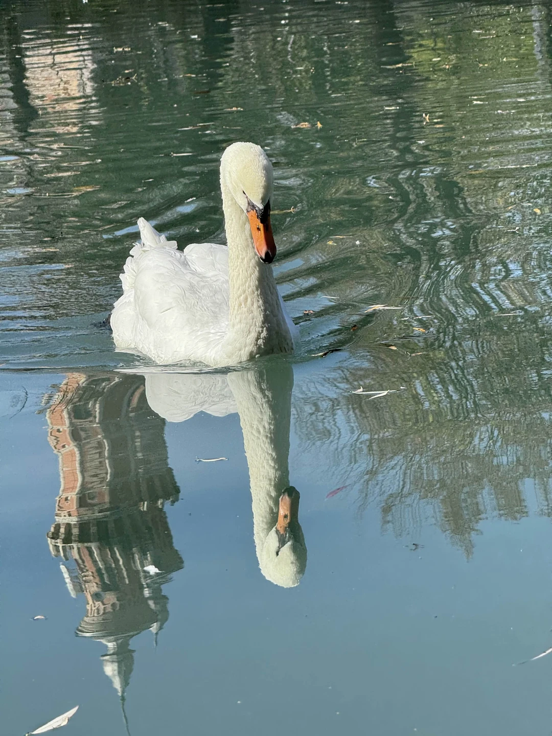 Отзыв о экскурсии "О Владикавказе — с интересом и любовью!" — фото 1