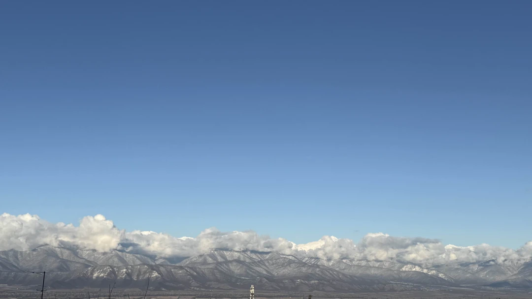 Отзыв о экскурсии "Кахетия — родина вина, чачи и красоты!" — фото 1