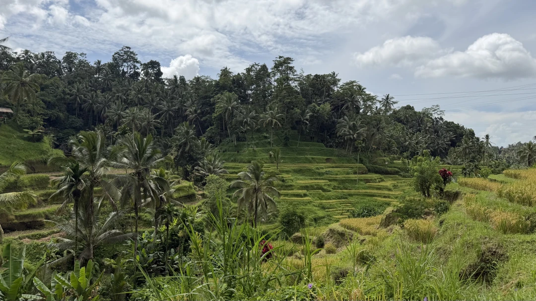 Отзыв о экскурсии "Бали, который вы ждёте!" — фото 4