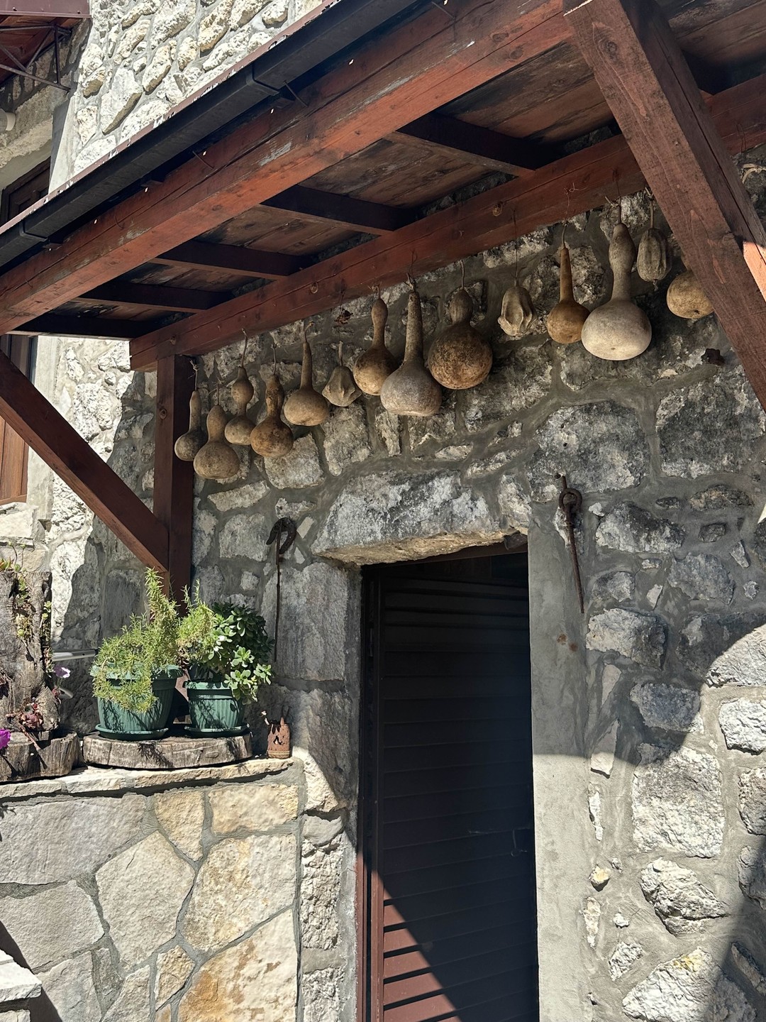 Отзыв о экскурсии "По Скадарскому озеру с черногорцем" — фото 3 Отзыв о экскурсии "По Скадарскому озеру с черногорцем" — фото 3