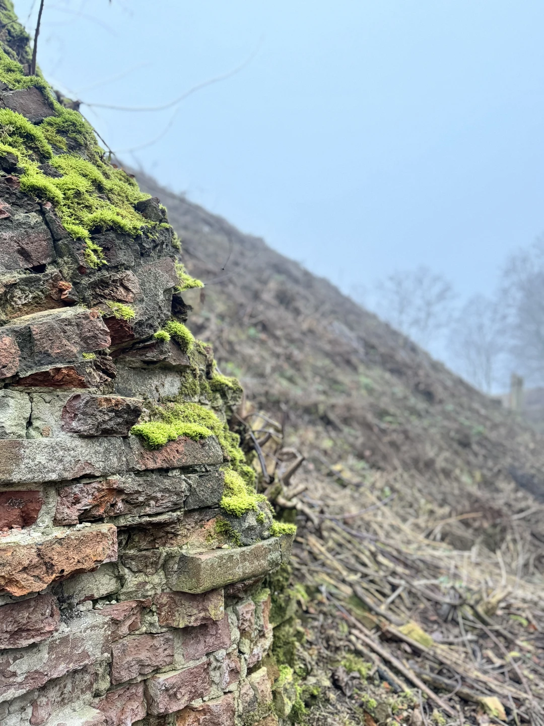 Отзыв о экскурсии "Экскурсия по нетуристической Брестской крепости" — фото 4