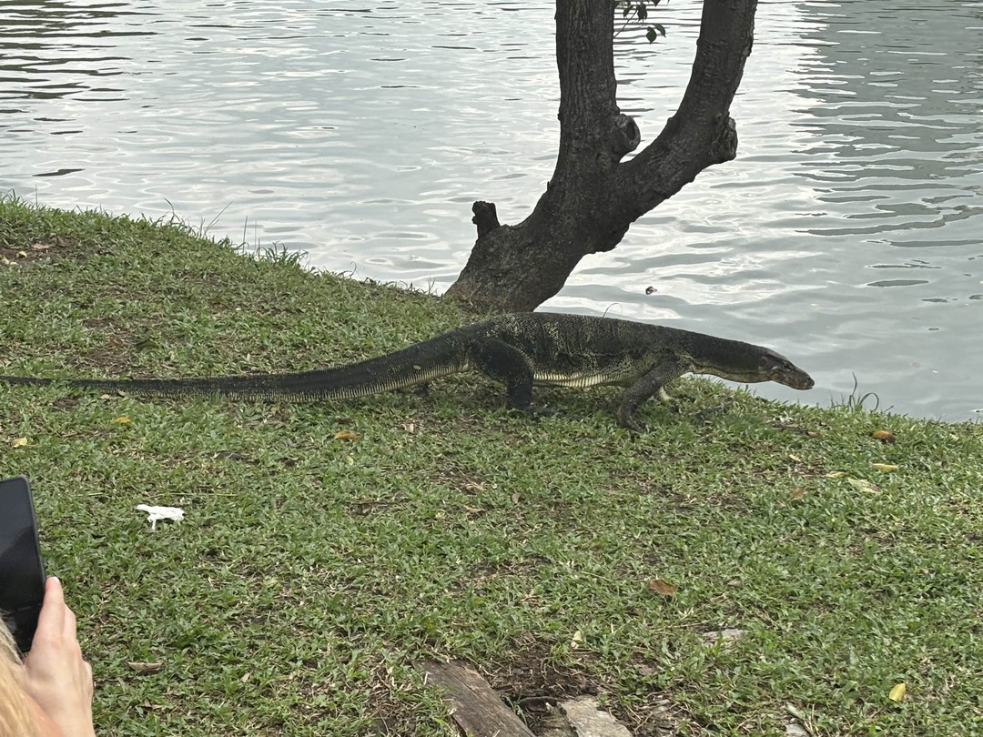 Фото путешественника — 2