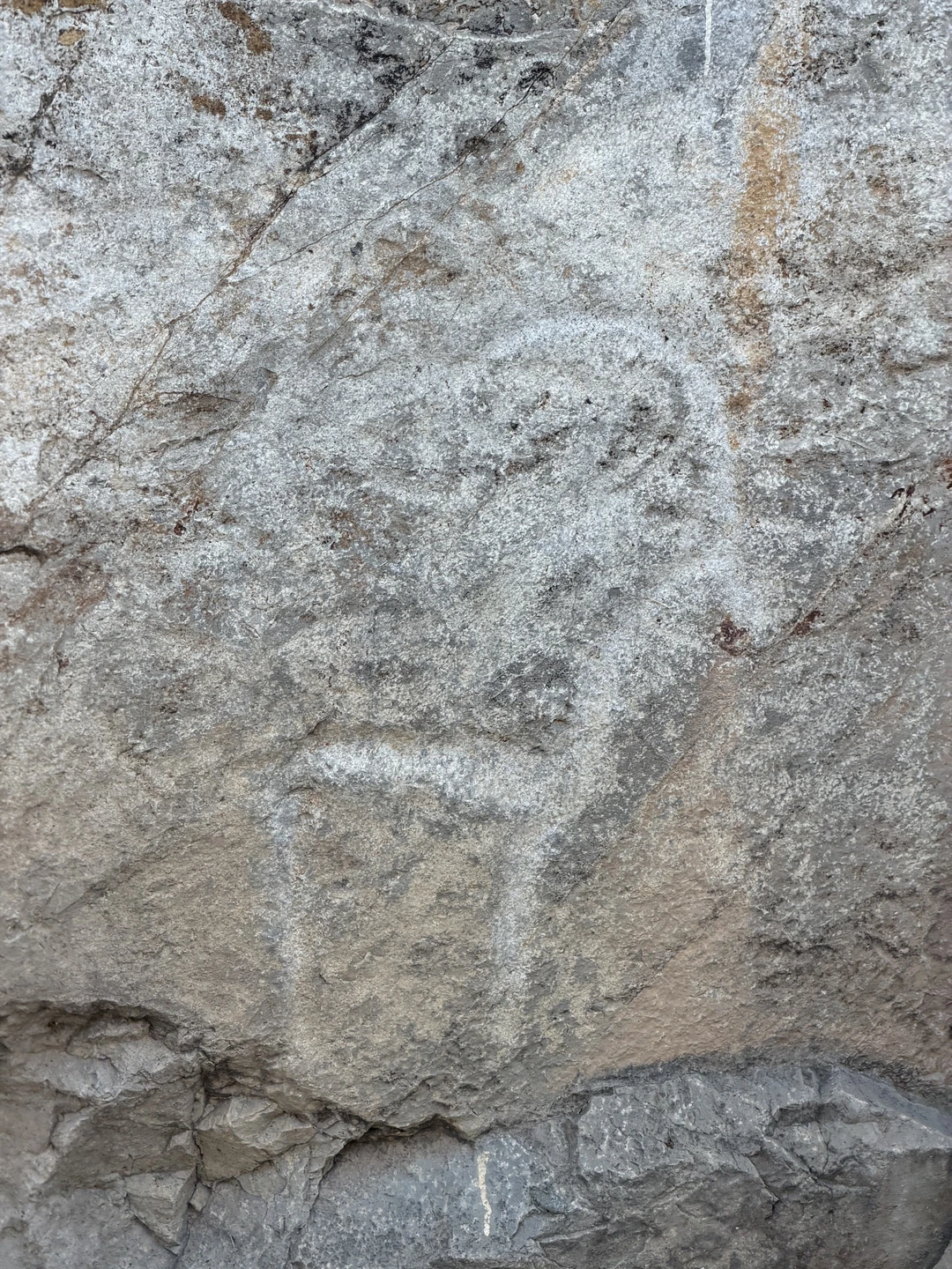 Отзыв о экскурсии "4 в 1: оленья ферма, петроглифы, канатная дорога Чиноркент и Бочки" — фото 3