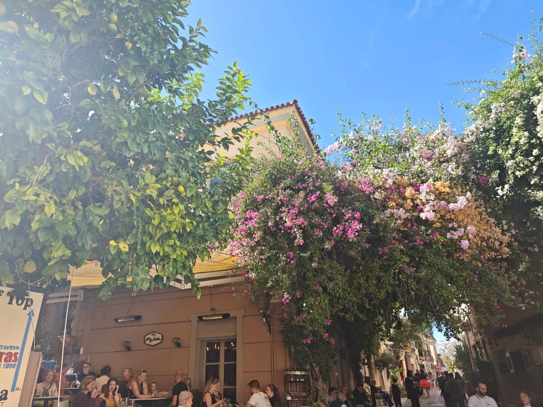 Отзыв о экскурсии "Первая встреча с Афинами!" — фото 2