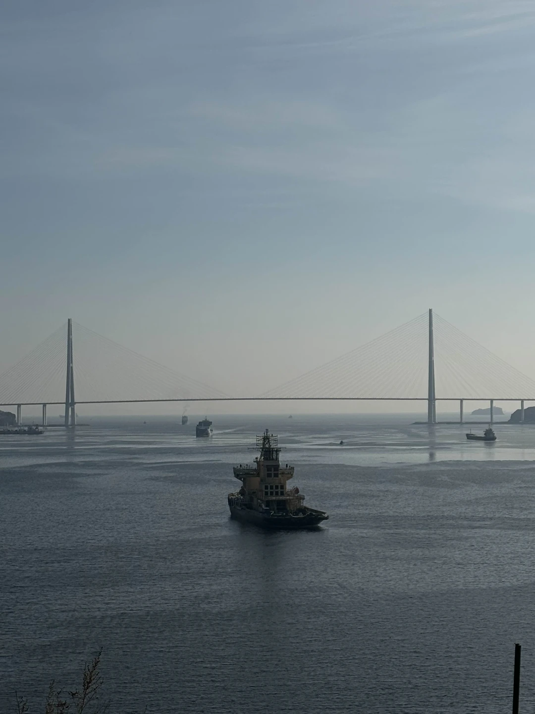 Отзыв о экскурсии "Владивосток и остров Русский" — фото 3