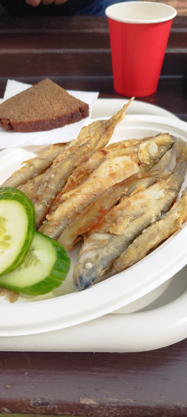 Отзыв о экскурсии "Заплетала море в косы: большое путешествие по Балтике" — фото 2