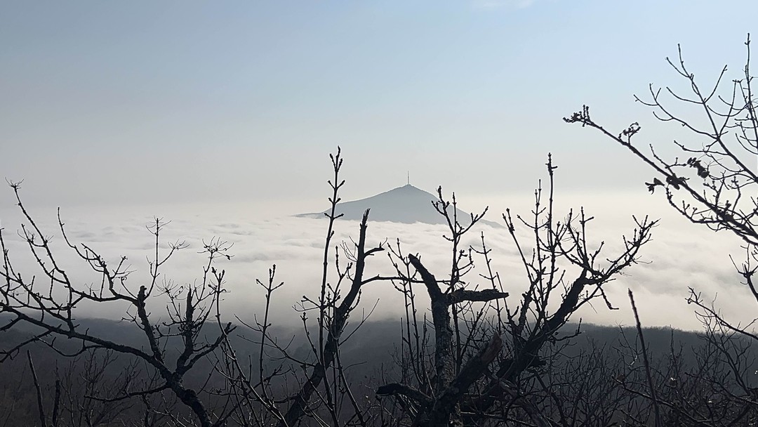 Отзыв о экскурсии "Пятигорские пейзажи: фотосессия на горе Бештау (из Ессентуков)" — фото 3