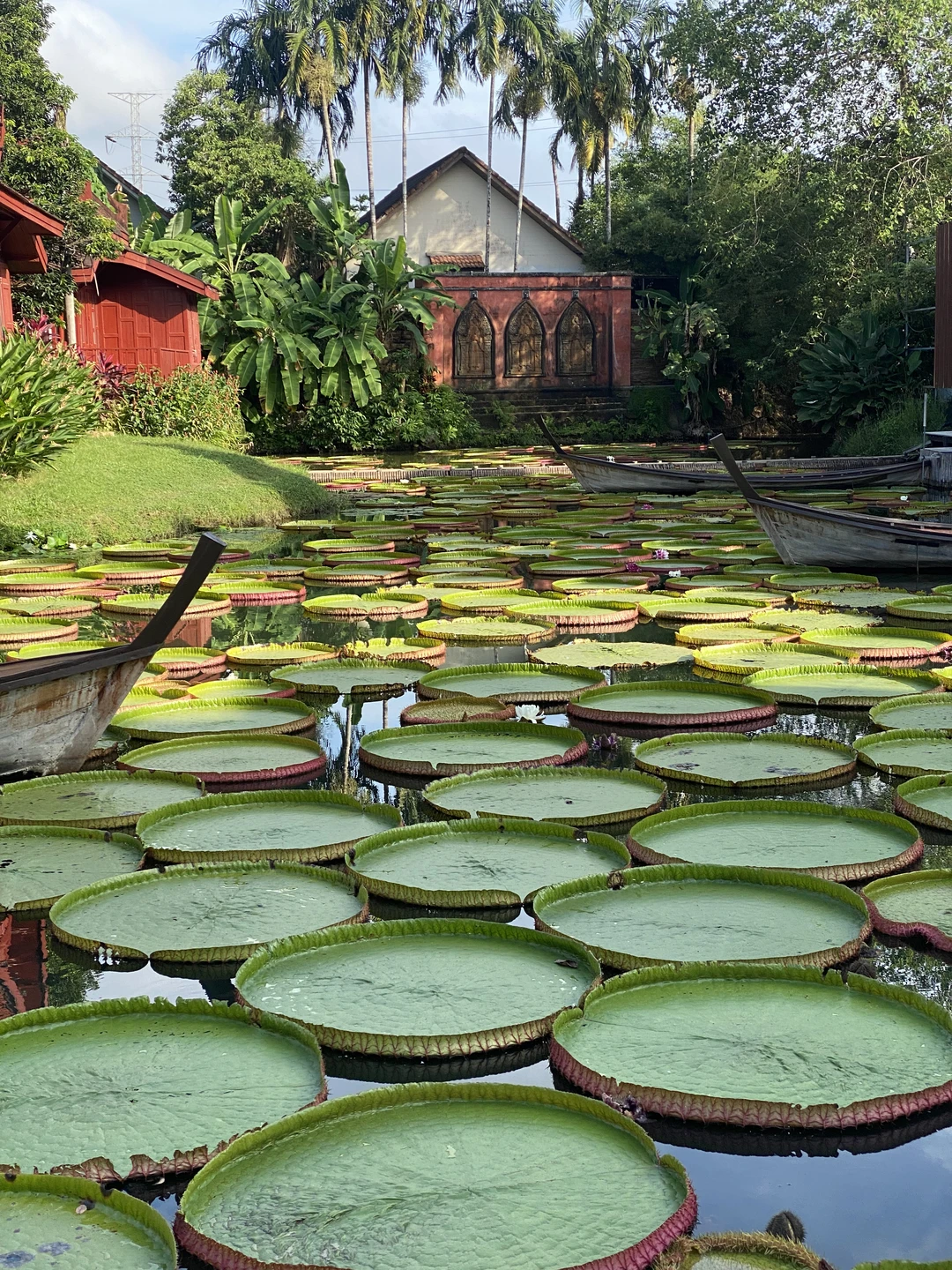 Отзыв о экскурсии "Сказочный мир Аватара и деревня слонов на Пхукете" — фото 2