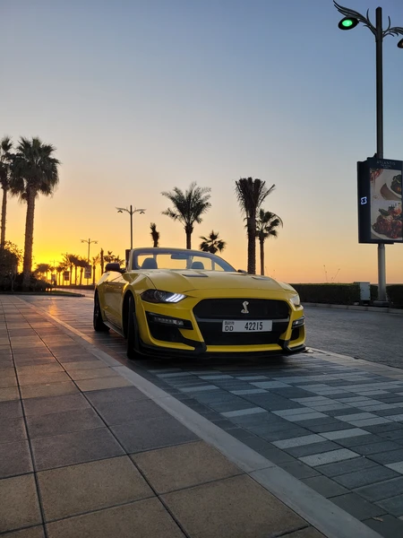 Отзывы об экскурсиях в Дубае