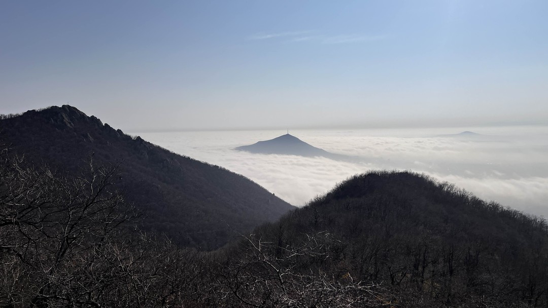 Отзыв о экскурсии "Пятигорские пейзажи: фотосессия на горе Бештау (из Ессентуков)" — фото 1
