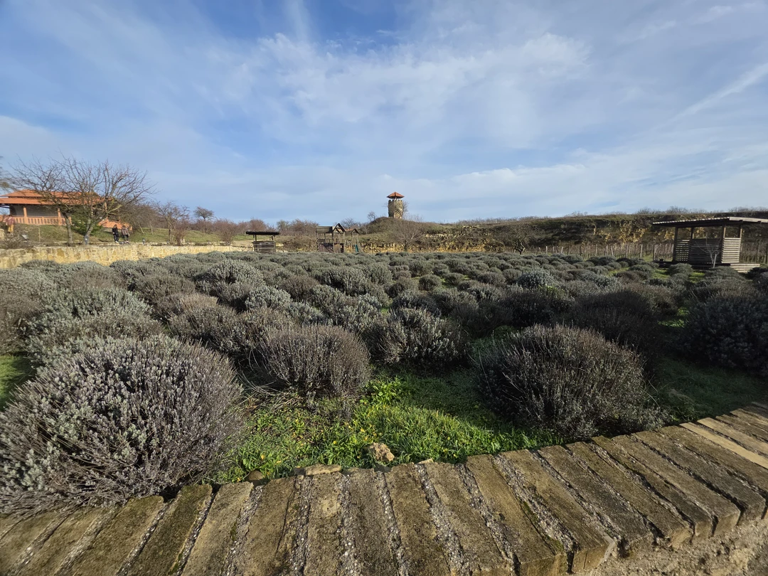 Отзыв о экскурсии "Винные открытия: Скалистый берег, Шумринка и Гай-Кодзор" — фото 7