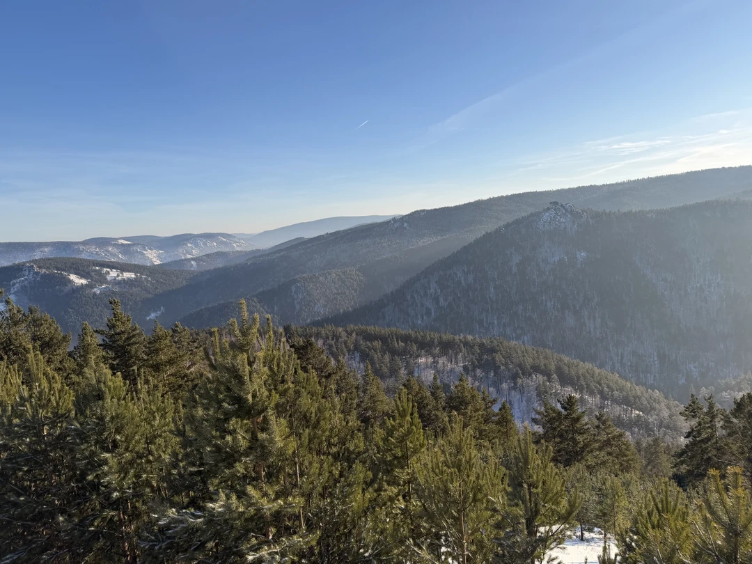 Отзыв о экскурсии "Красноярск, Дивногорск и Столбы за один день!" — фото 2