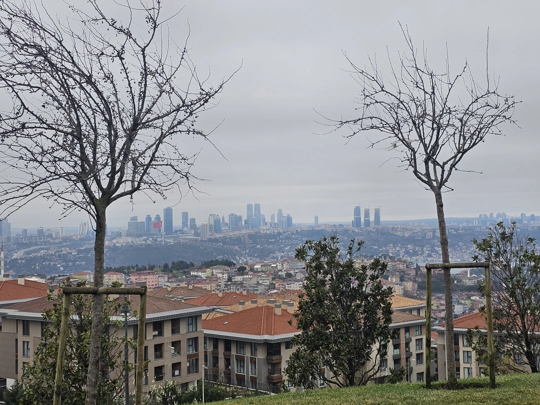 Отзывы об экскурсиях в Стамбуле