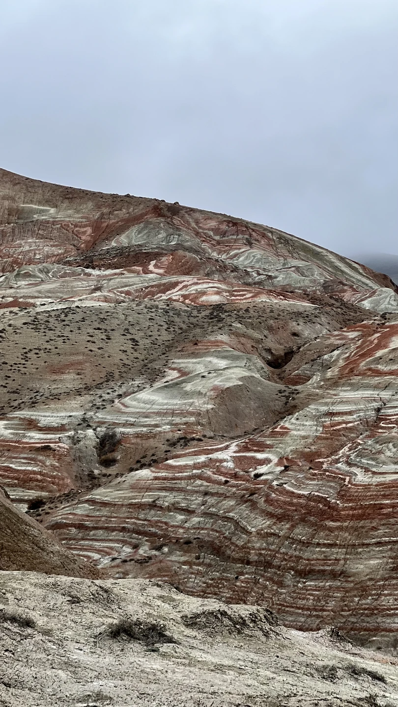 Отзыв о экскурсии "Яркость на максимум: розовое озеро, марсианские пейзажи и пикник на горе" — фото 1