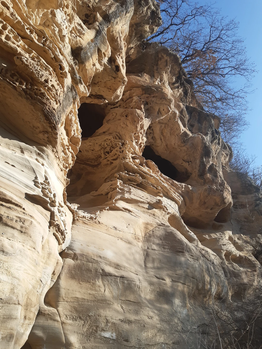 Отзыв о экскурсии "Сердце гор: из Пятигорска — в Домбай" — фото 2