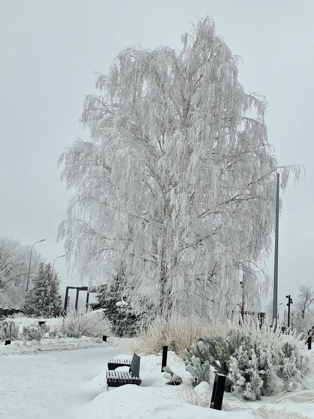 Фото путешественника — 6