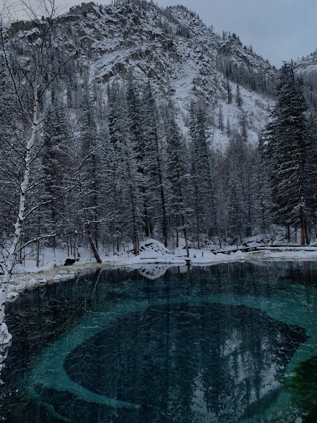 Отзыв о экскурсии "Чуйский тракт: покоряя алтайские вершины" — фото 8