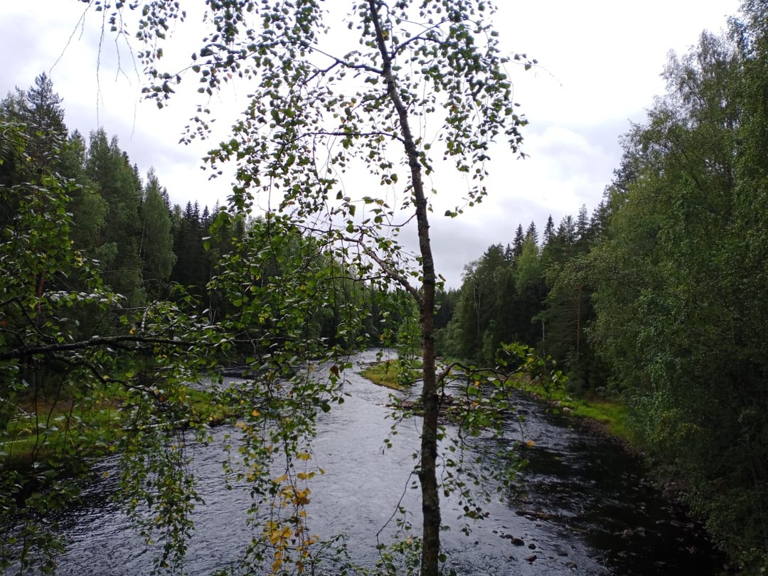 Отзыв о экскурсии "На «железном коне» по Карелии: велотур по природным достопримечательностям" — фото 7
