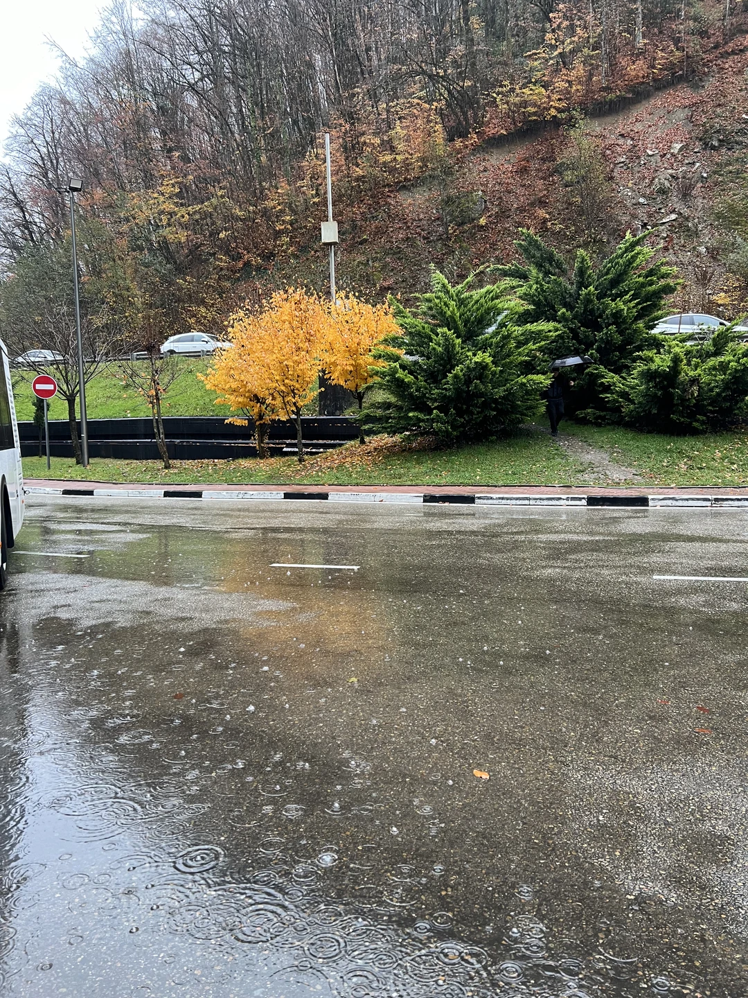 Отзыв о экскурсии "Из Адлера — в Красную Поляну и на Розу Хутор" — фото 8