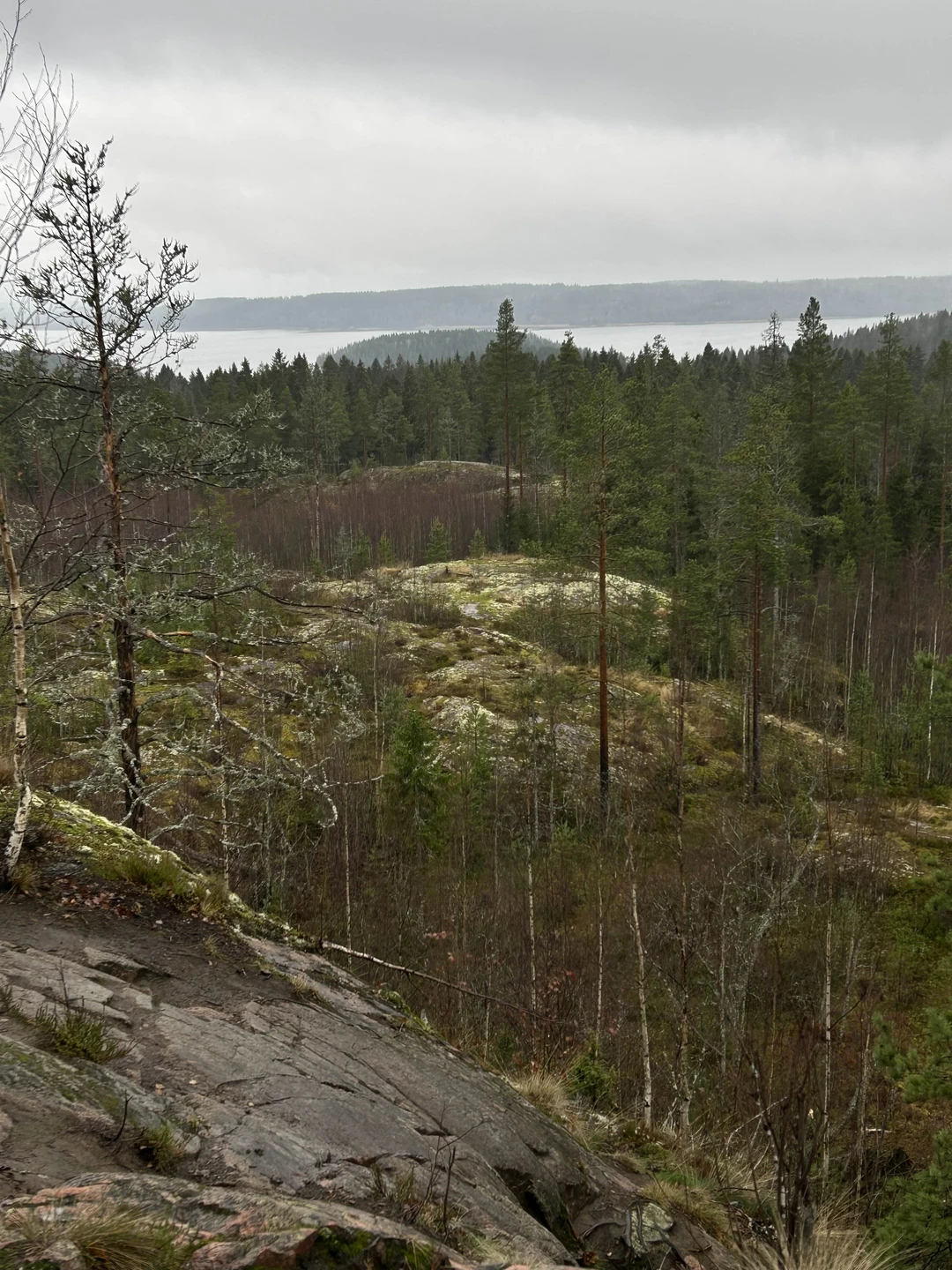 Отзыв о экскурсии "Ладожские шхеры и водопады Карелии за один день" — фото 2