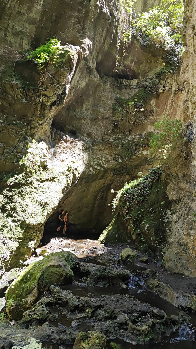 Отзыв о экскурсии "Сквозь джунгли Тенерифе к секретным водопадам" — фото 3