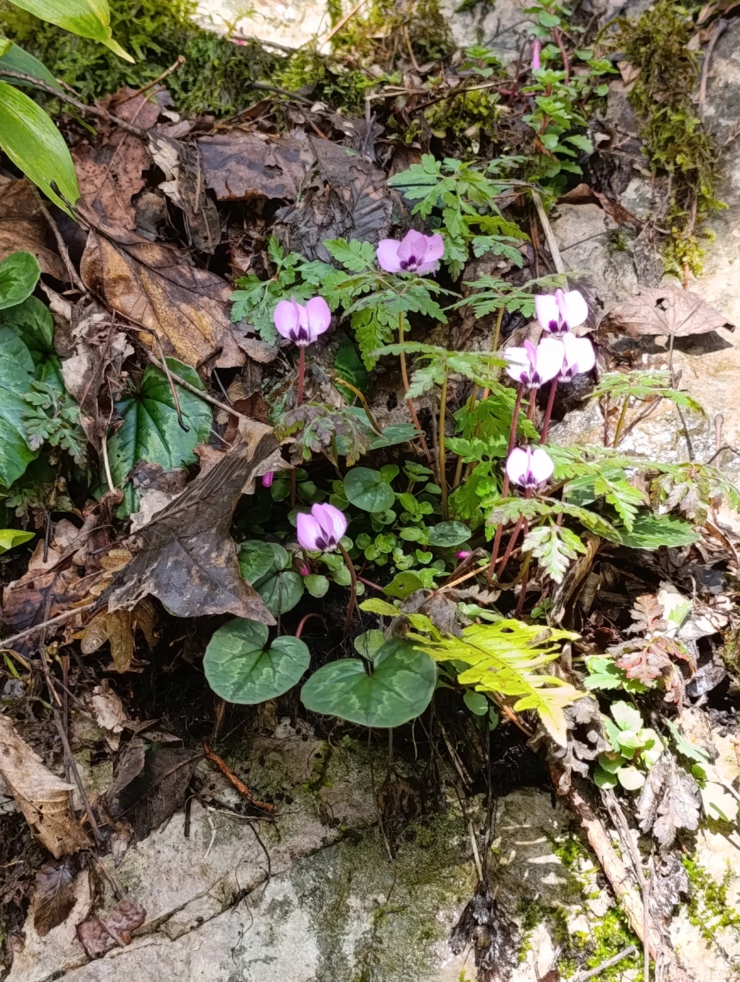 Фото путешественника — 2