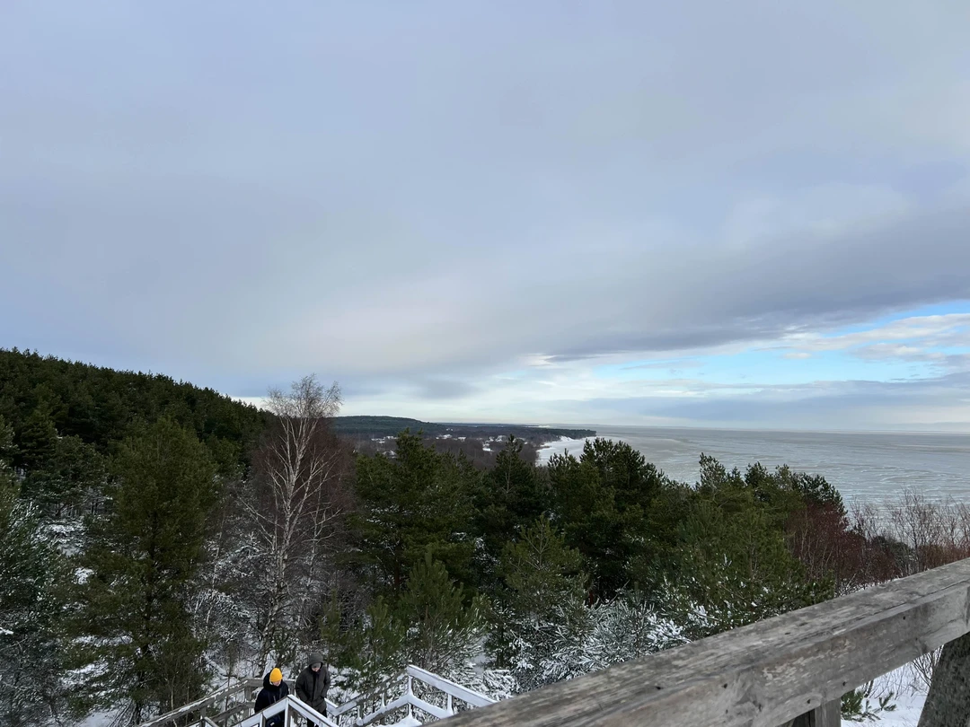 Отзыв о экскурсии "Первый раз на Куршской косе — из Зеленоградска" — фото 1