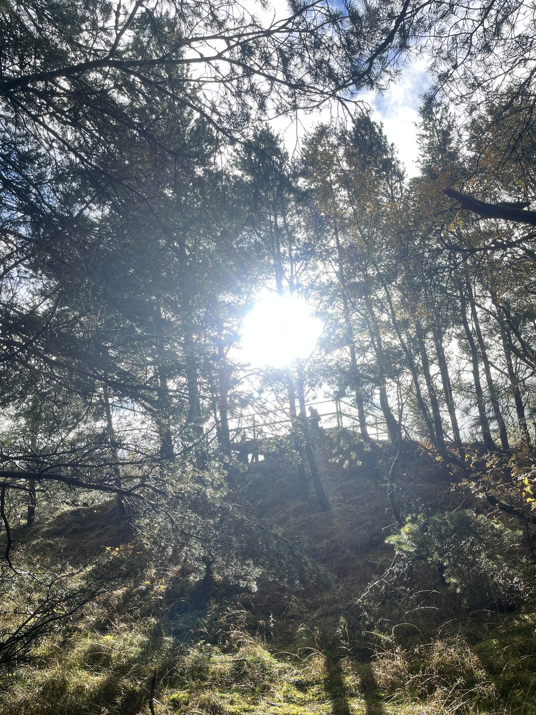Отзыв о экскурсии "Выходные в европейском стиле: Калининград, Светлогорск и Зеленоградск" — фото 4