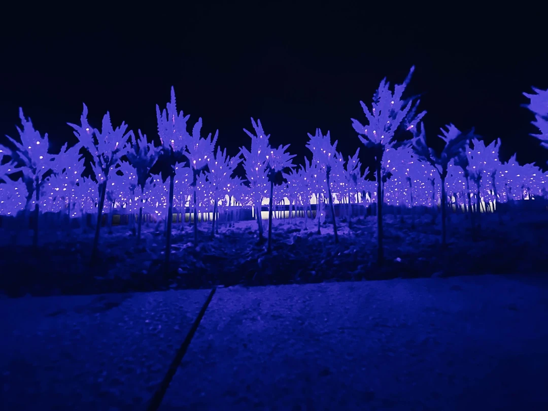 Отзыв о экскурсии "Парк Галицкого в Краснодаре: место, созданное для вдохновения" — фото 6