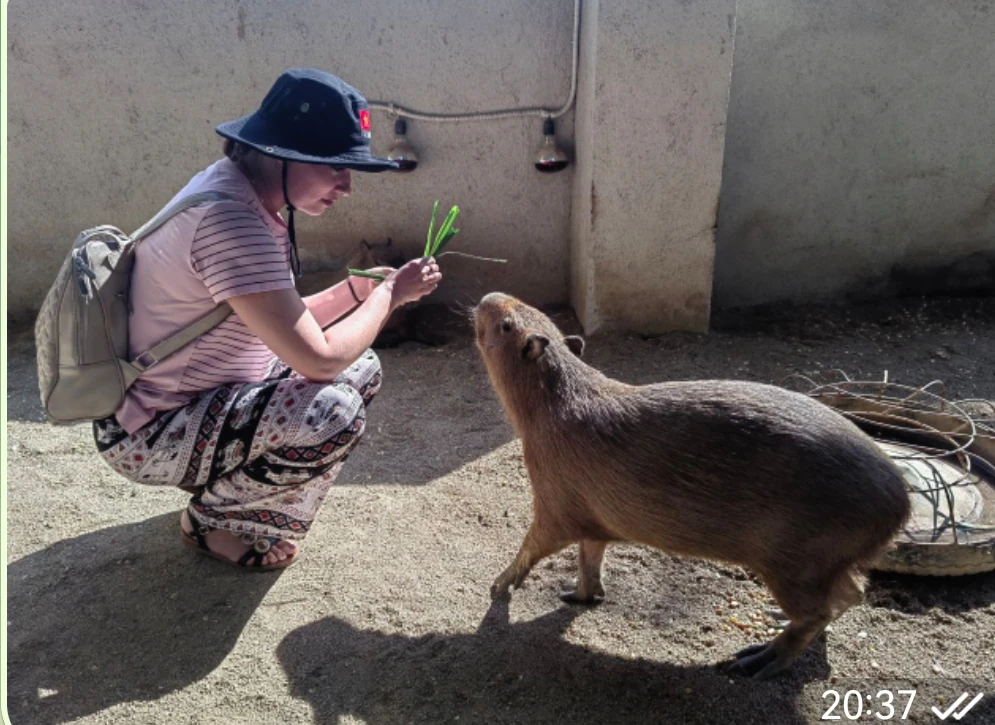 Отзыв о экскурсии "Далат на максимум (из Нячанга)" — фото 1