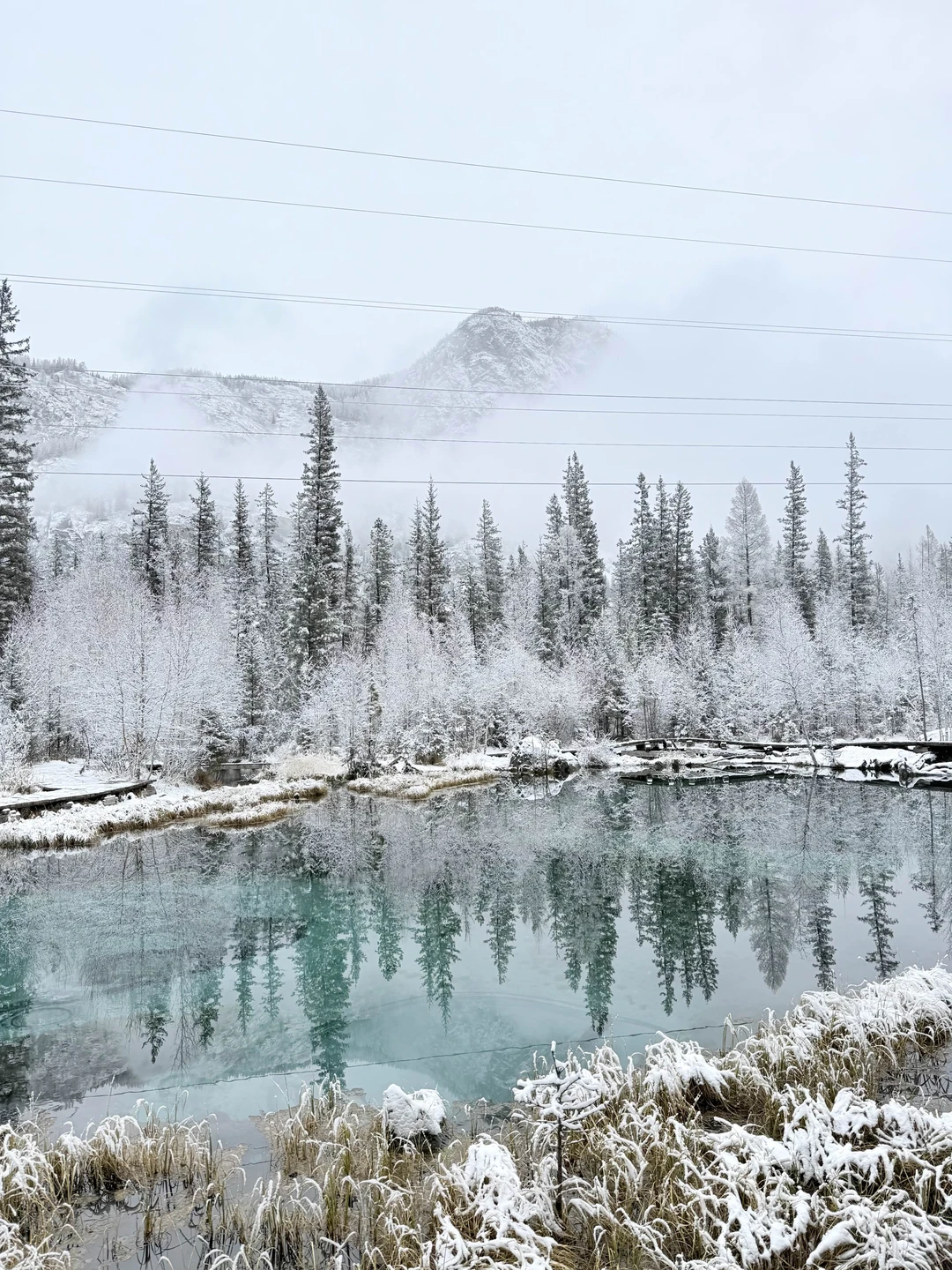 Отзыв о экскурсии "Ваше идеальное путешествие по Горному Алтаю: тур-конструктор" — фото 6