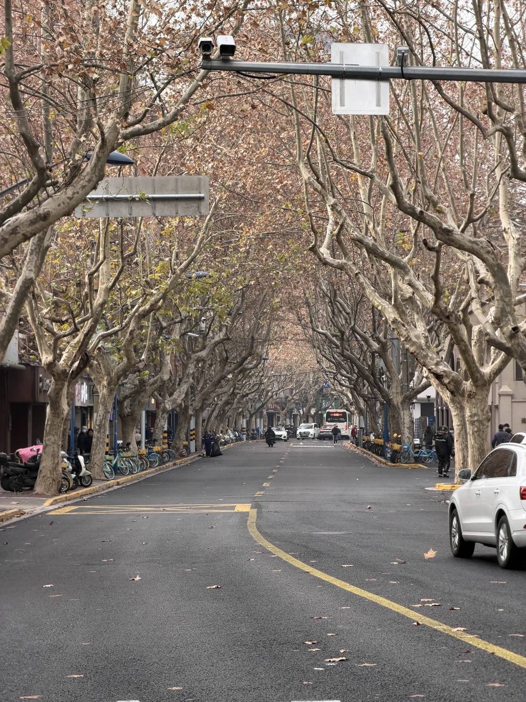 Отзыв о экскурсии "Шанхай за несколько часов — для тех, кто проездом" — фото 6