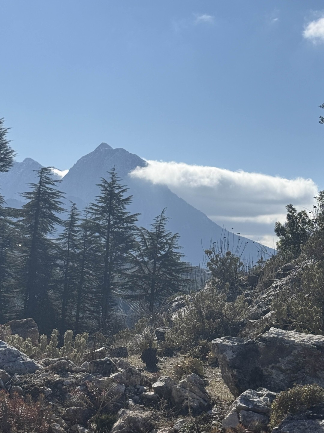 Отзывы об экскурсиях в Кемере