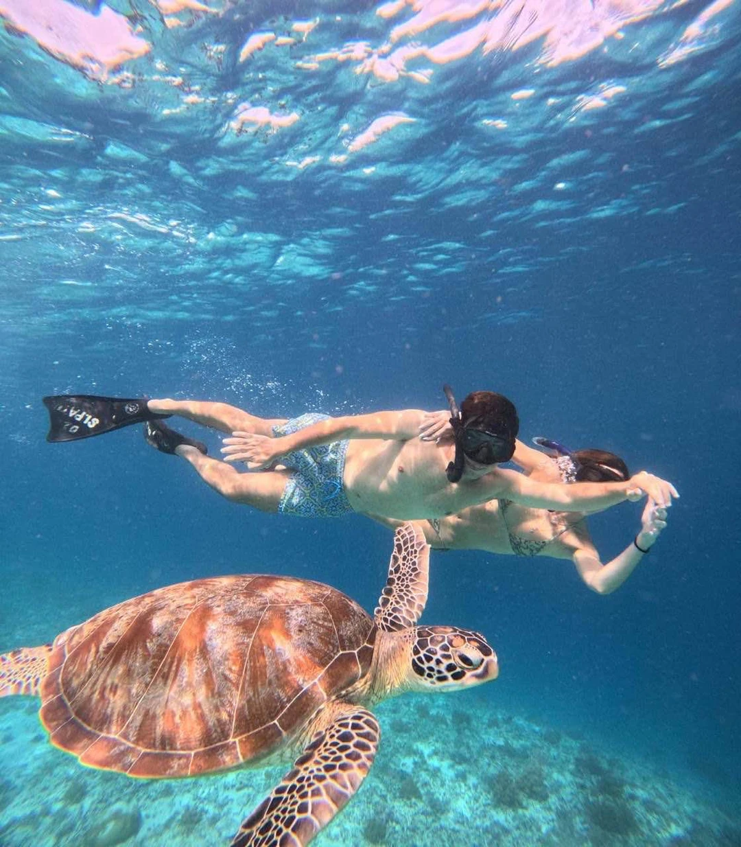 Отзыв о экскурсии "Морская прогулка на частной лодке по островам Гили + снорклинг с черепахами" — фото 7