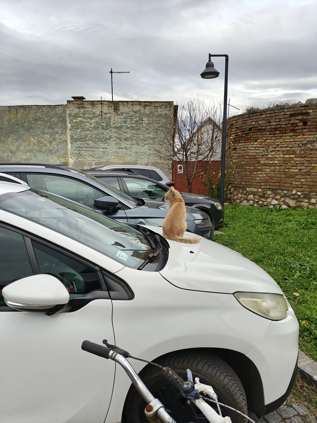 Отзыв о экскурсии "Белград глазами коренной сербки" — фото 1