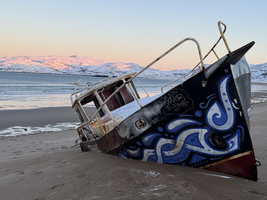 Отзыв о экскурсии "Киты, тюлени и невероятная Териберка" — фото 1