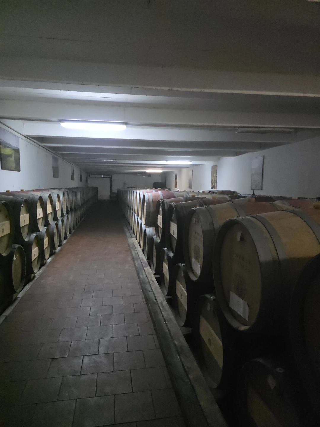 Отзыв о экскурсии "Винные открытия: Скалистый берег, Шумринка и Гай-Кодзор" — фото 2