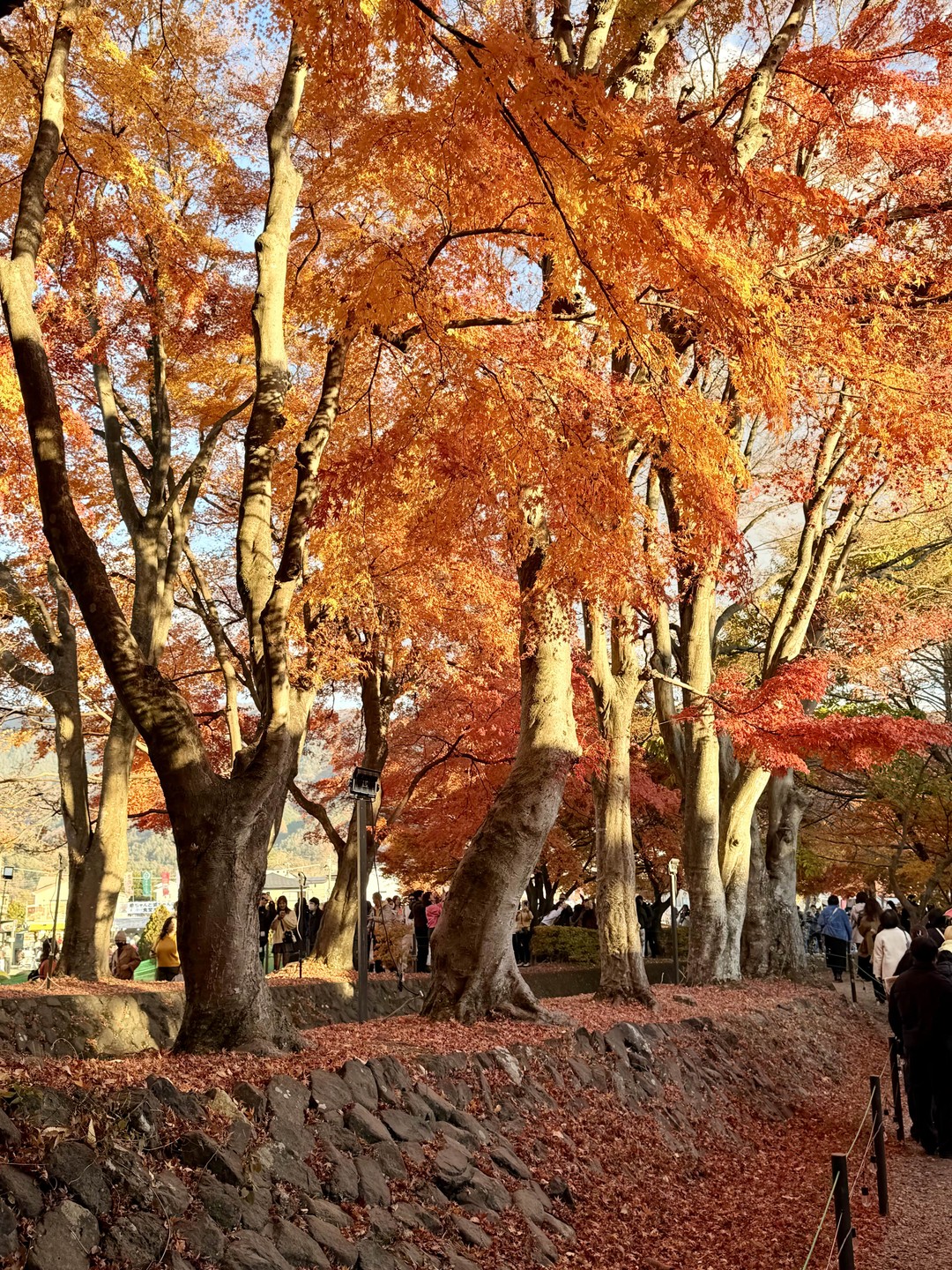 Отзыв о экскурсии "Вокруг Фудзи: где оживает история" — фото 8