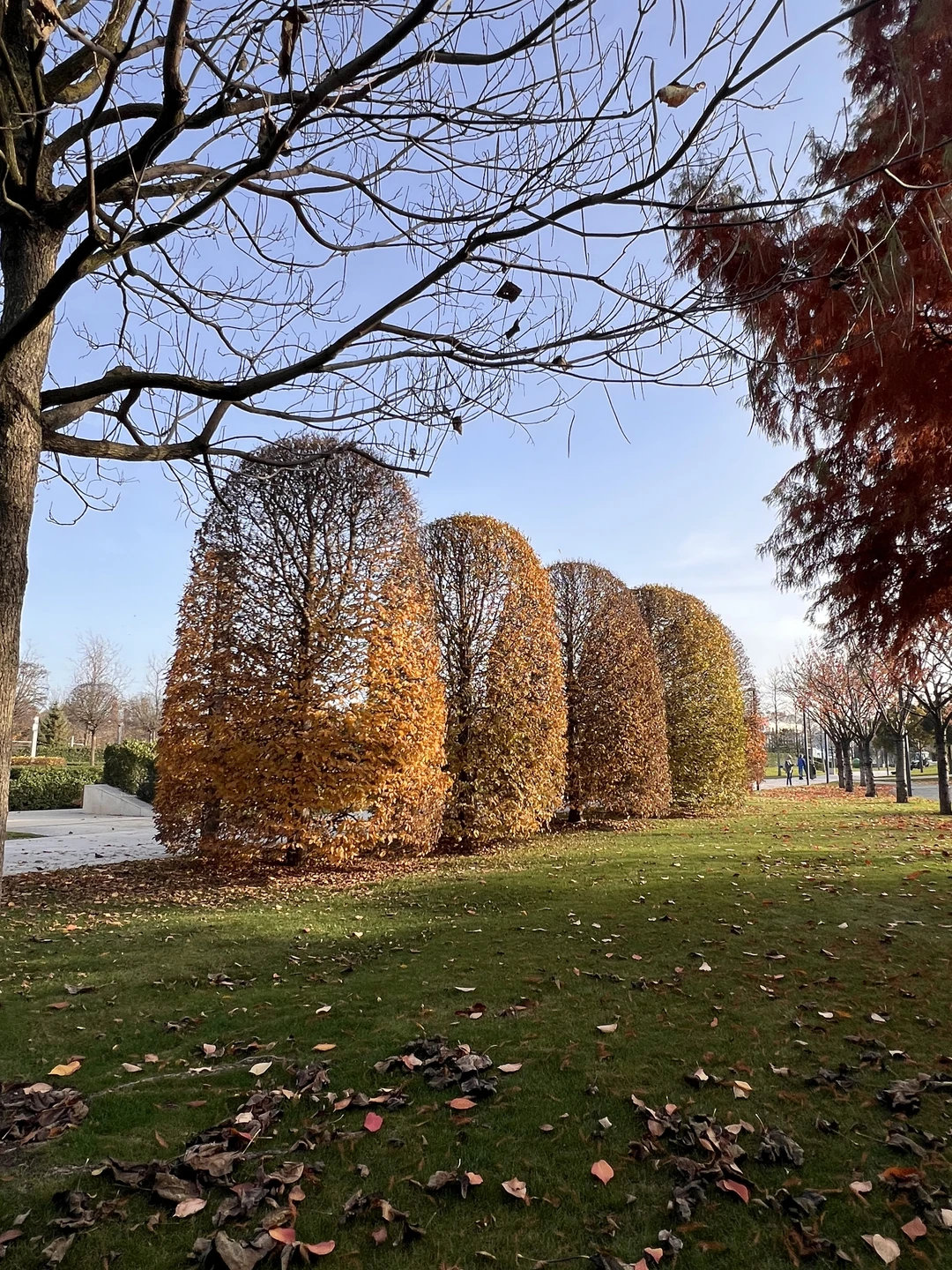 Отзывы об экскурсиях в Краснодаре